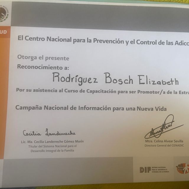 Ampliar imagen: certificate 3