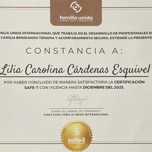 Ampliar imagen: certificate 3