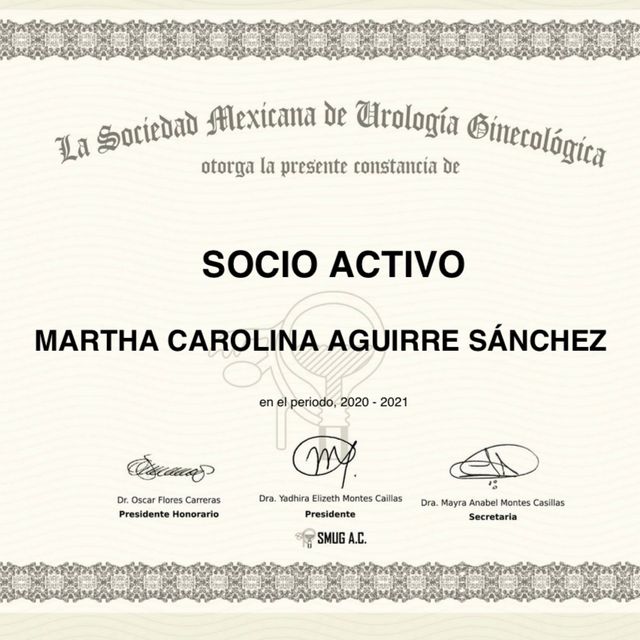Ampliar imagen: certificate 11