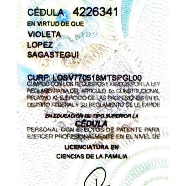 Ampliar imagen: certificate 2