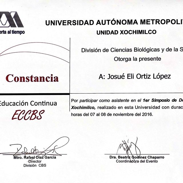 Ampliar imagen: certificate 29