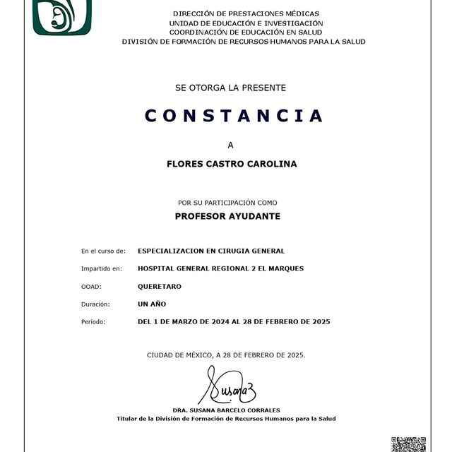 Ampliar imagen: certificate 11