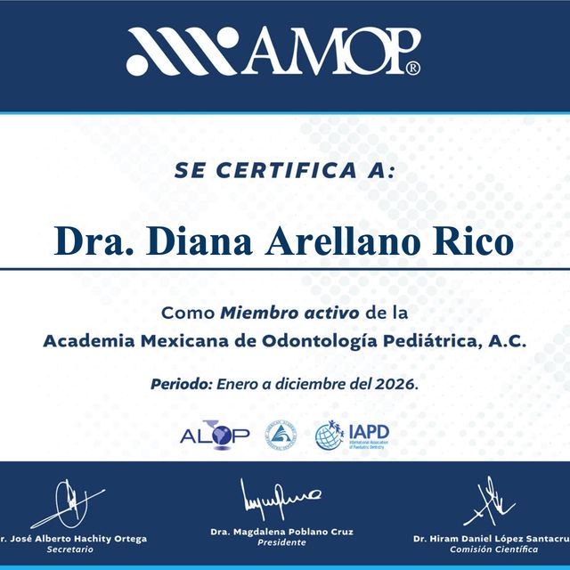Ampliar imagen: certificate 2