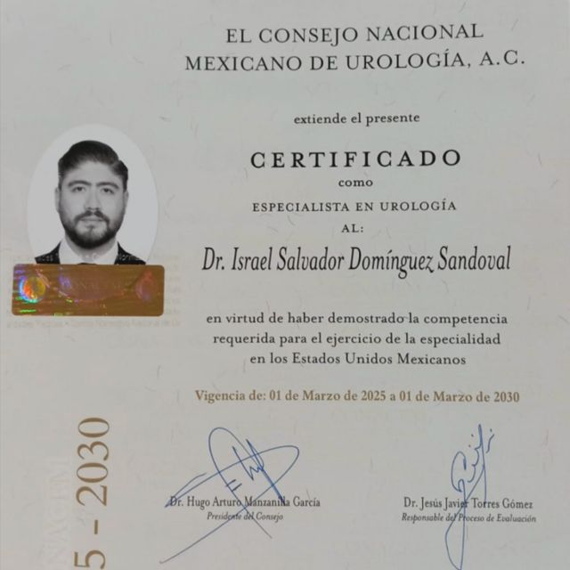 Ampliar imagen: certificate 2