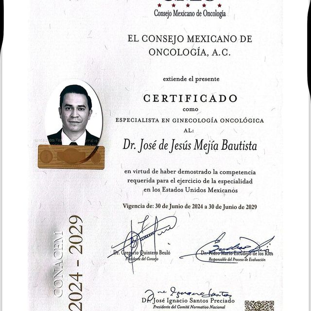 Ampliar imagen: certificate 52