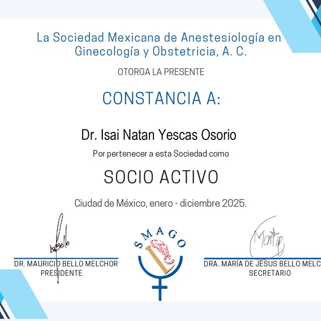 Ampliar imagen: certificate 3