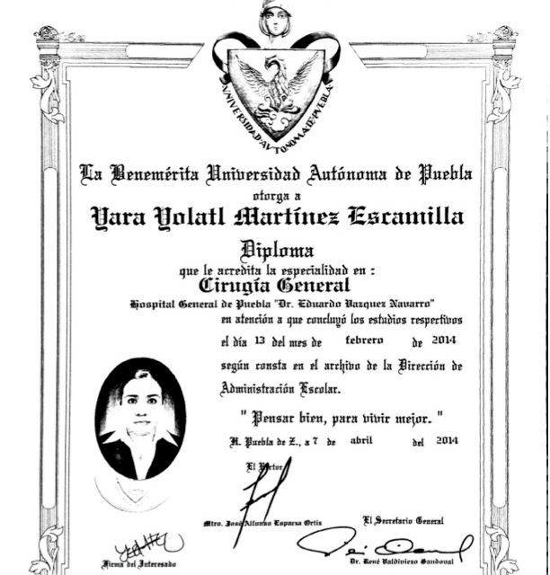 Ampliar imagen: certificate 1