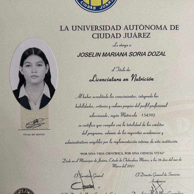 Ampliar imagen: certificate 7