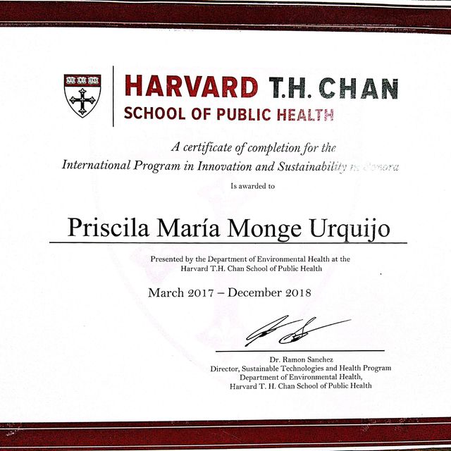 Ampliar imagen: certificate 1