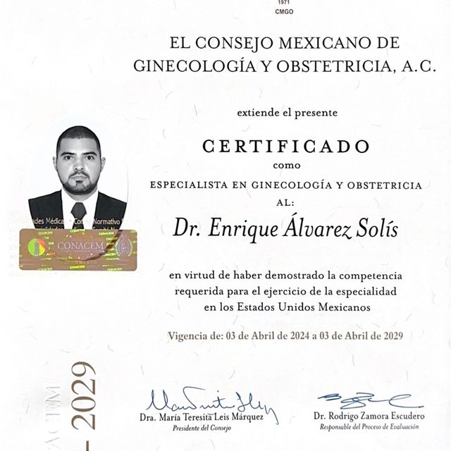 Ampliar imagen: certificate 1