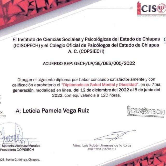 Ampliar imagen: certificate 1