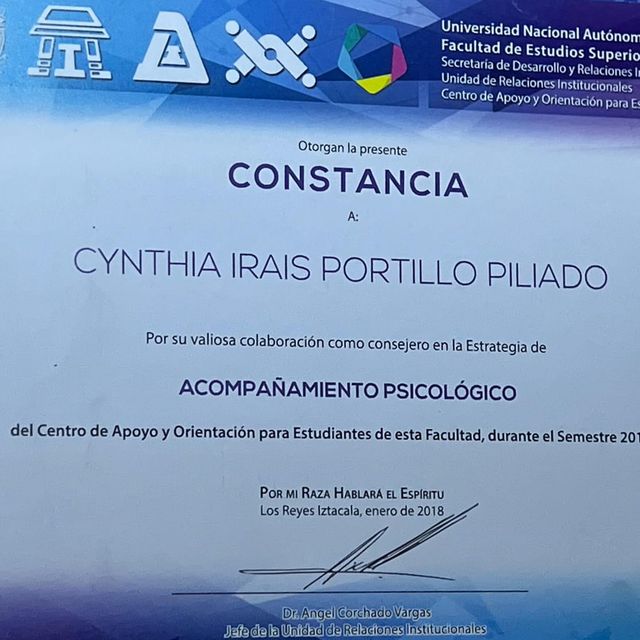 Ampliar imagen: certificate 3