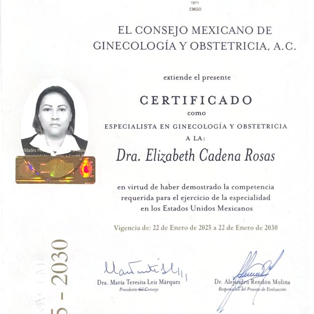 Ampliar imagen: certificate 7