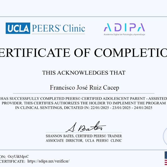 Ampliar imagen: certificate 3