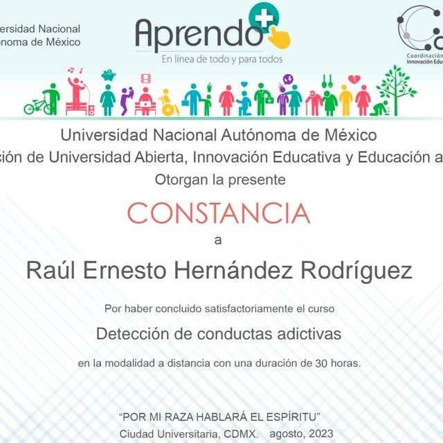 Ampliar imagen: certificate 4