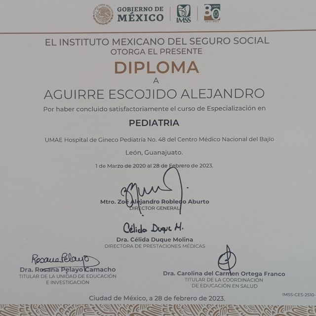 Ampliar imagen: certificate 3