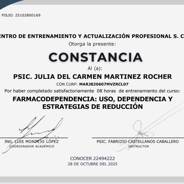 Ampliar imagen: certificate 8