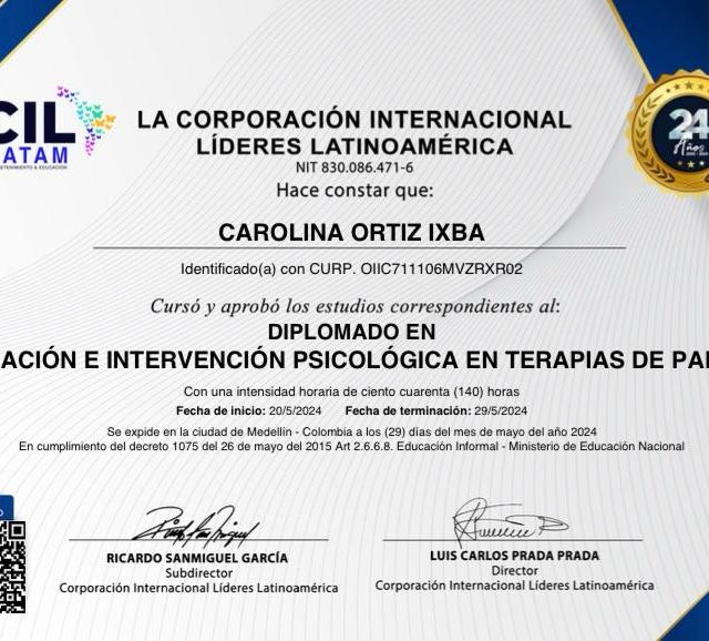 Ampliar imagen: certificate 3