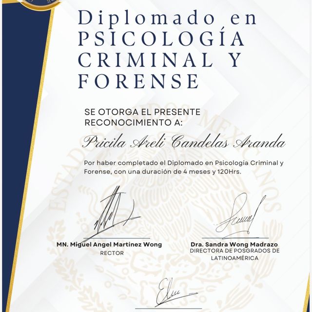 Ampliar imagen: certificate 3