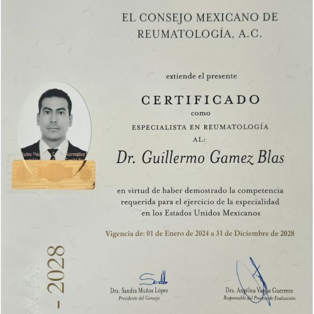 Ampliar imagen: certificate 1