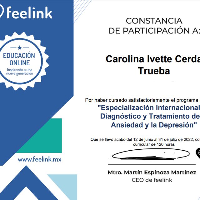Ampliar imagen: certificate 5