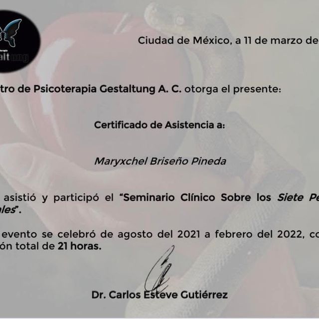 Ampliar imagen: certificate 4