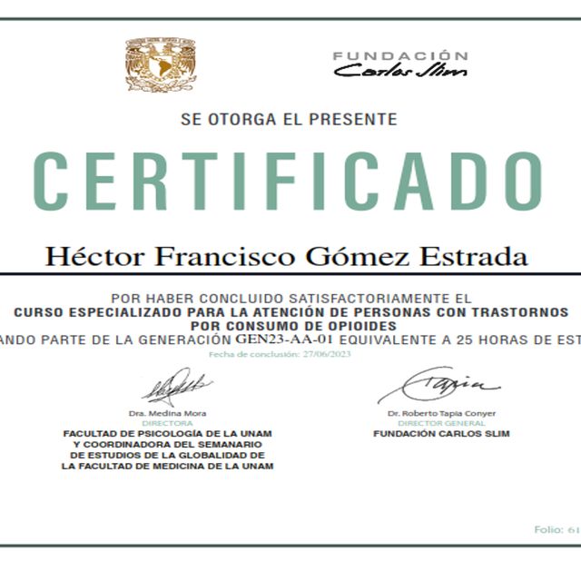 Ampliar imagen: certificate 3