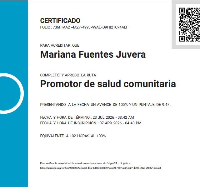 Ampliar imagen: certificate 1
