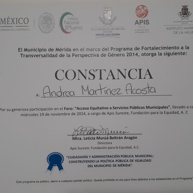 Ampliar imagen: certificate 2