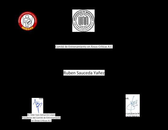 Ampliar imagen: certificate 20