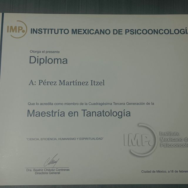 Ampliar imagen: certificate 3