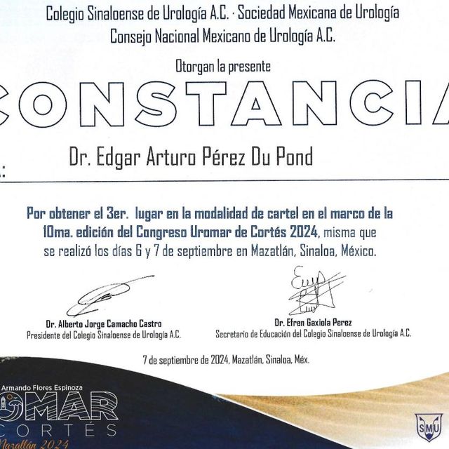 Ampliar imagen: certificate 5