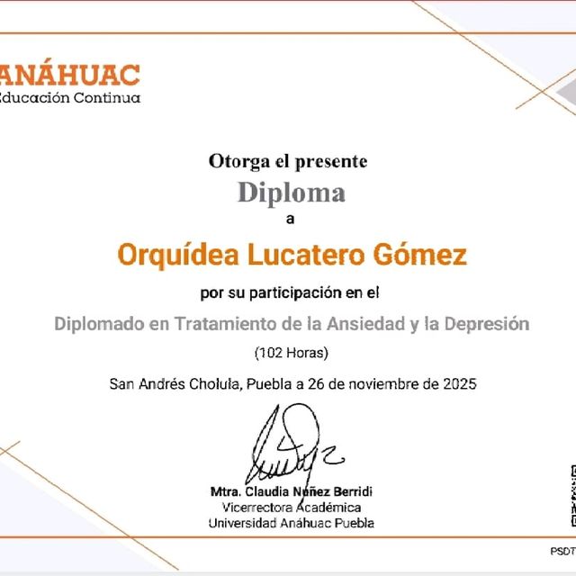 Ampliar imagen: certificate 2
