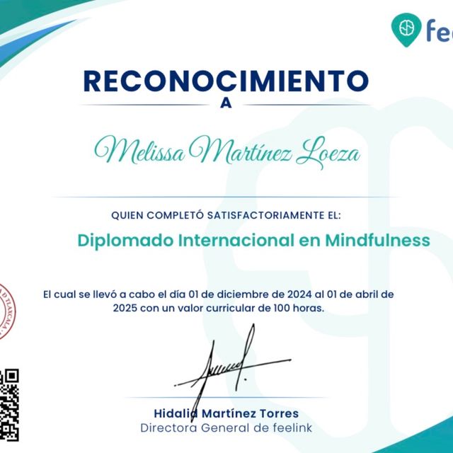 Ampliar imagen: certificate 2