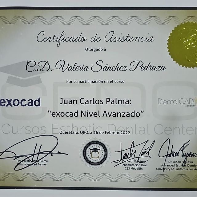 Ampliar imagen: certificate 6