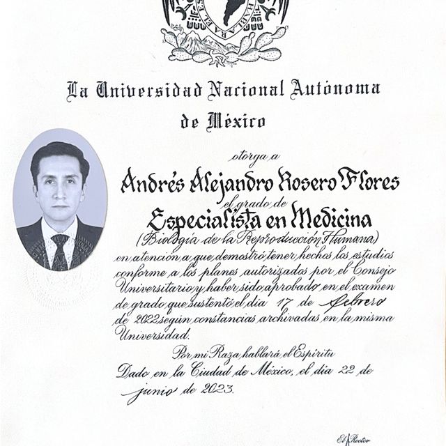 Ampliar imagen: certificate 3