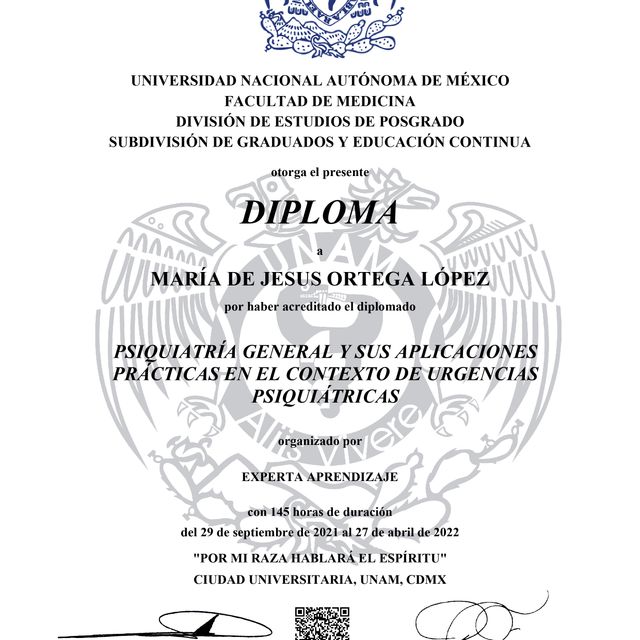 Ampliar imagen: certificate 1