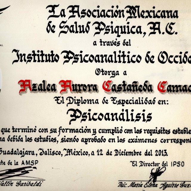 Ampliar imagen: certificate 19