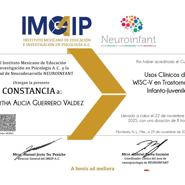 Ampliar imagen: certificate 3