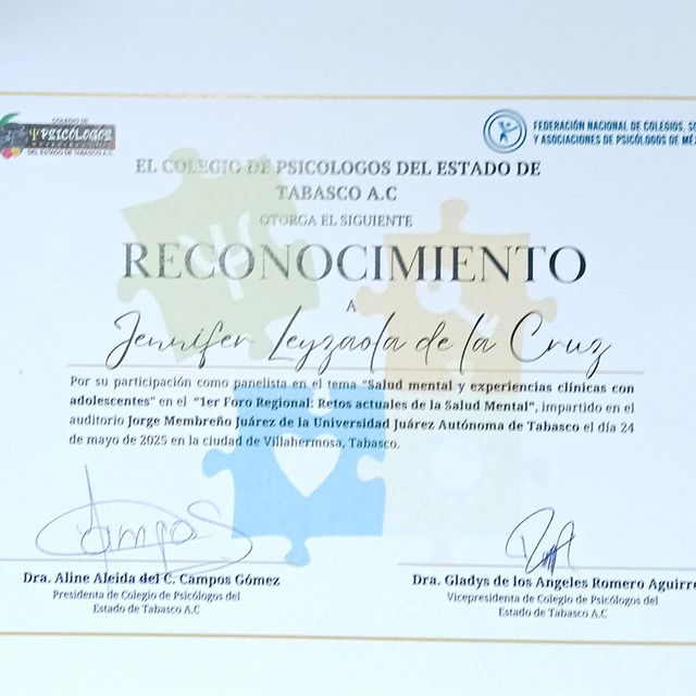 Ampliar imagen: certificate 28