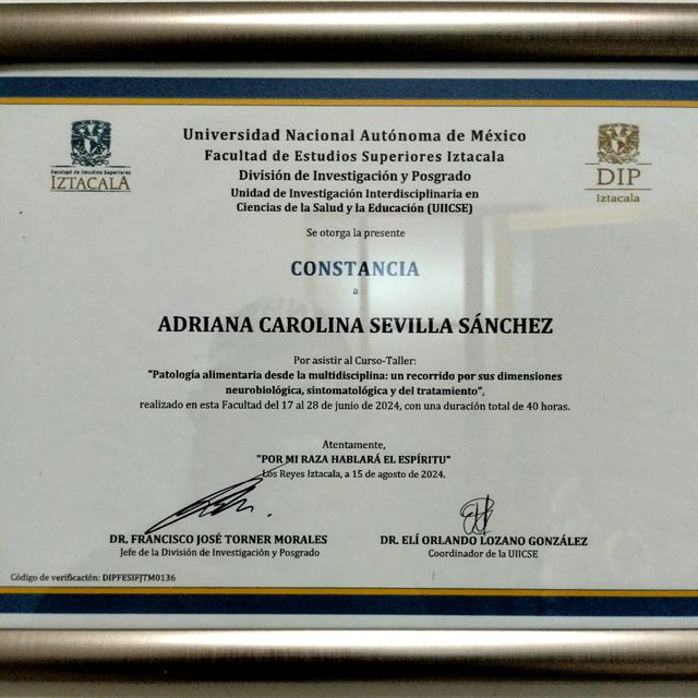 Ampliar imagen: certificate 7