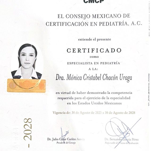 Ampliar imagen: certificate 2