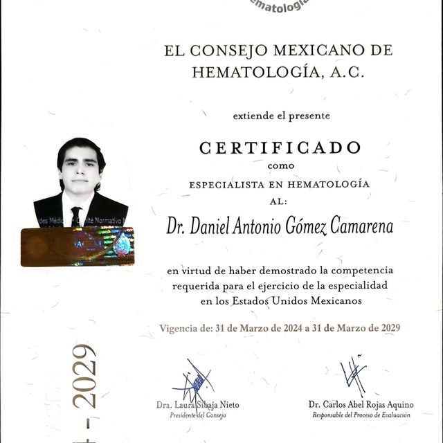 Ampliar imagen: certificate 3