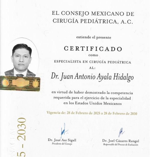 Ampliar imagen: certificate 1