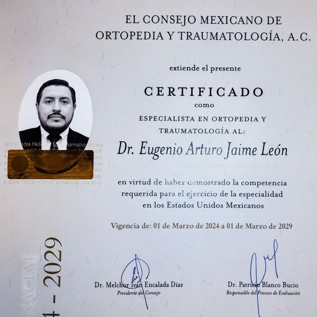 Ampliar imagen: certificate 1