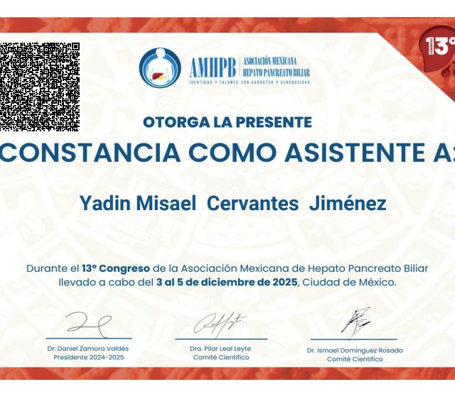 Ampliar imagen: certificate 7