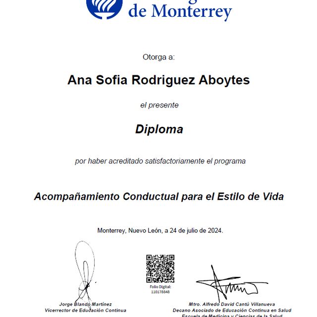 Ampliar imagen: certificate 2
