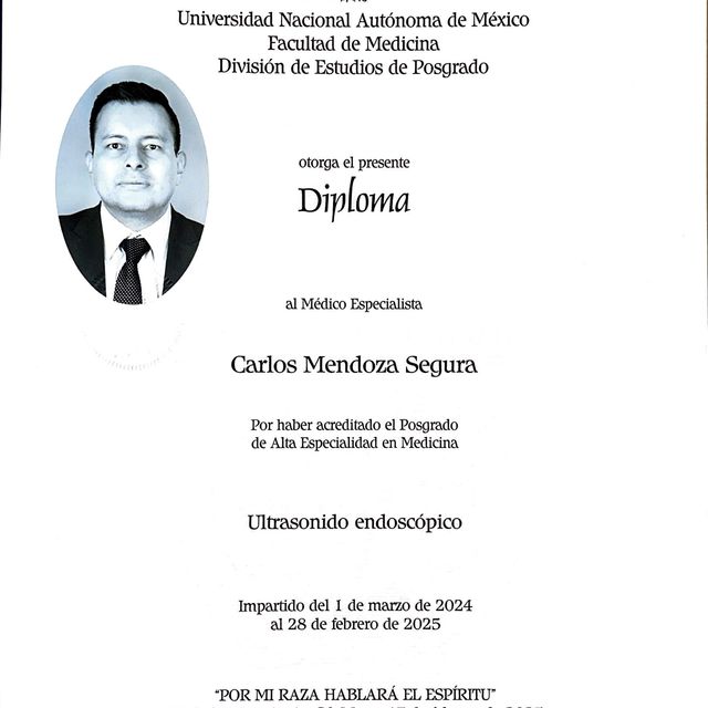 Ampliar imagen: certificate 3