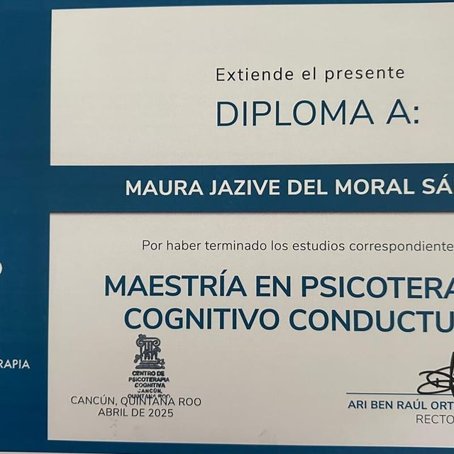 Ampliar imagen: certificate 1