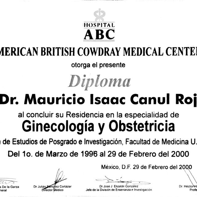 Ampliar imagen: certificate 3